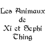 Les animaux de Xi et Sephi Thing